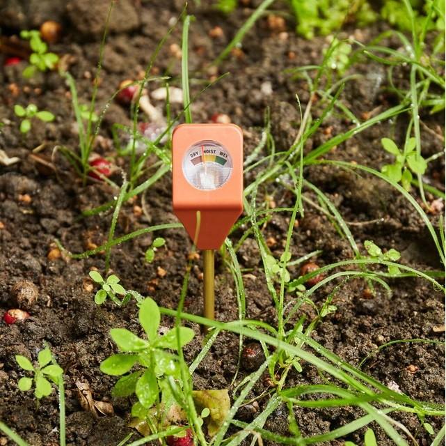 De afbeelding toont een tuinhydrometer die in vochtige, donkere aarde is gestoken. De hydrometer, uitgevoerd in een oranje kleur, is voorzien van een duidelijk afleesbare vochtigheidsmeter op de bovenkant. De omgeving rond de hydrometer is bezaaid met jonge, groene plantjes en enkele kleine rode zaden op de grond, wat suggereert dat dit stukje tuin recentelijk is gezaaid of bewaterd. Deze tool is essentieel voor tuiniers die nauwkeurig de vochtigheid van hun grond willen controleren om optimale groeiomstandigheden voor hun planten te garanderen.